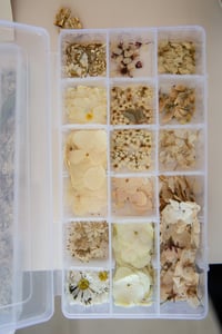 Image 2 of DIY pressed flower arrangement kit 