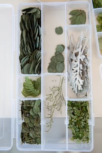 Image 3 of DIY pressed flower arrangement kit 