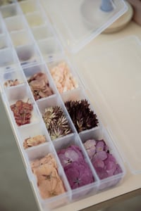 Image 4 of DIY pressed flower arrangement kit 