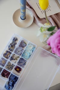 Image 5 of DIY pressed flower arrangement kit 