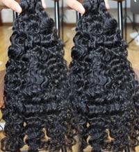 Image 1 of Burmese Curly 