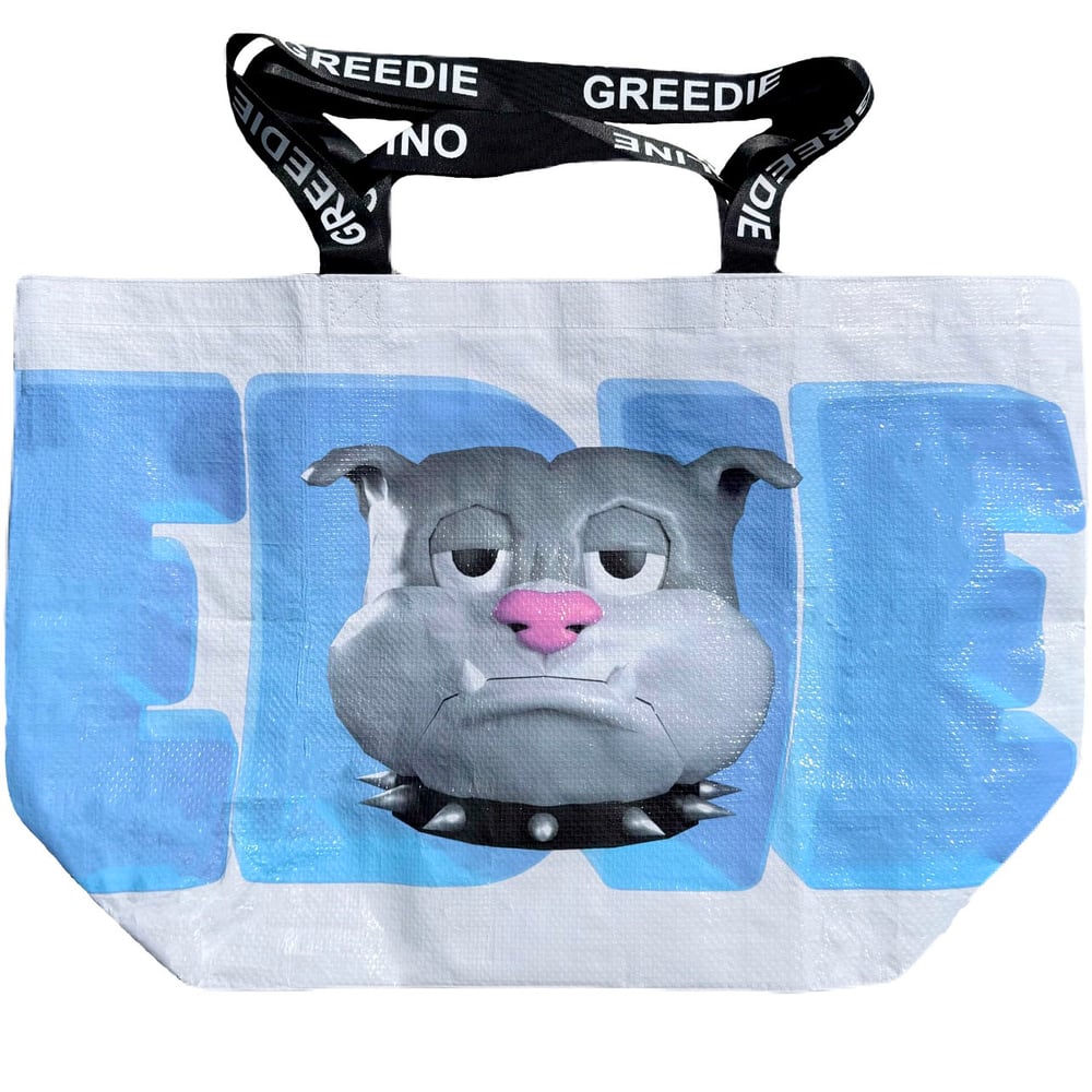 Image of REC BAG