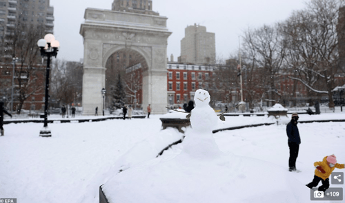 Image of Elvis hates snow