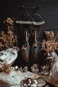Image 1 of Bones balance