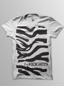 Image of The Heights Zebra