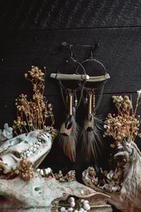 Image 3 of Bones balance