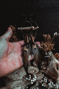 Image 2 of Bones balance