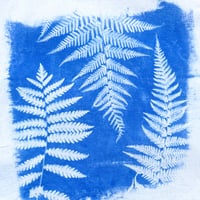 Image 2 of Fern Tote