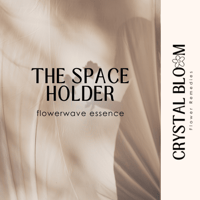 Image 1 of The Space Holder