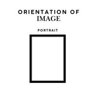 Image 2 of "Coastal Majesty" - Australian Pelican Print