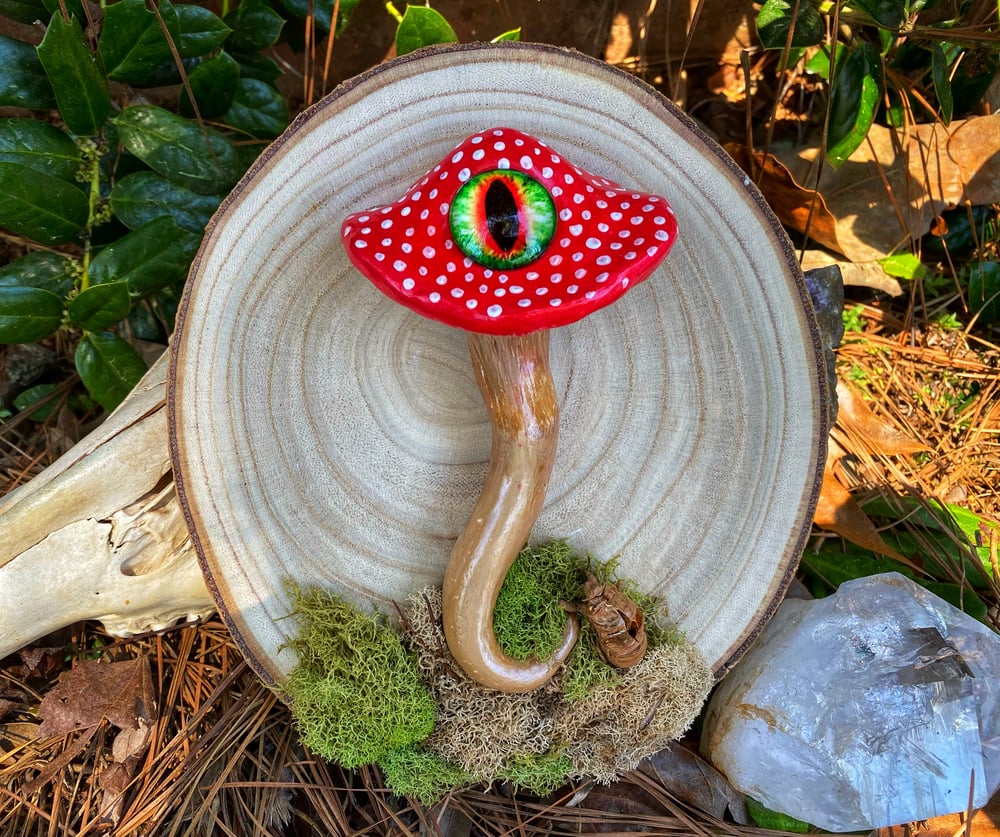 Image of Large Mushroom Decor ~ Amanita