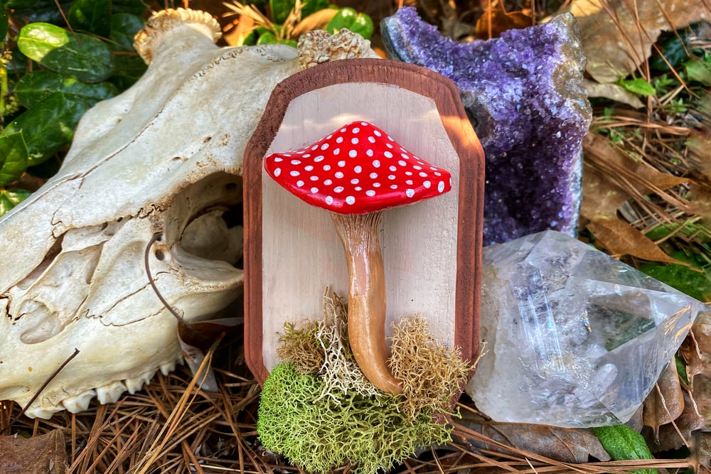 Image of Small Mushroom Decor ~ Amanita 