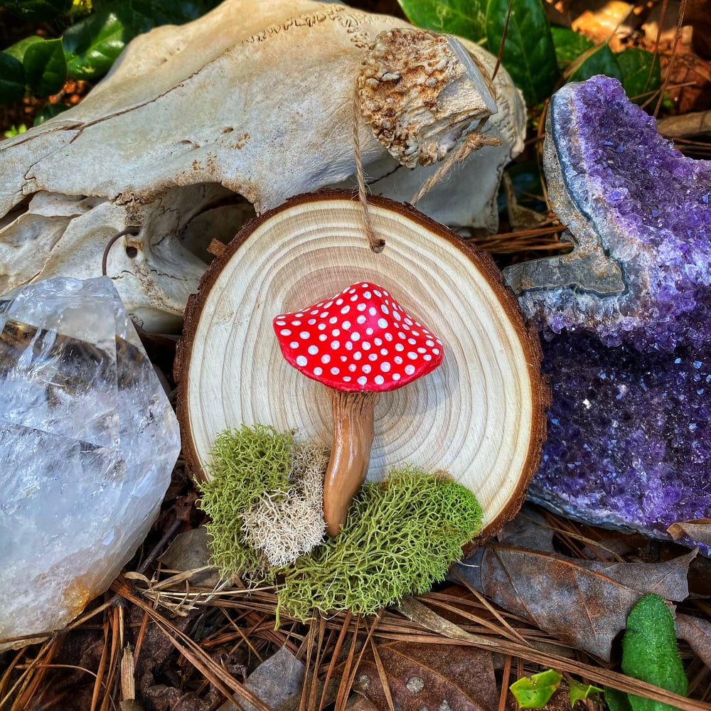 Image of Mini Mushroom Decor ~ Amanita
