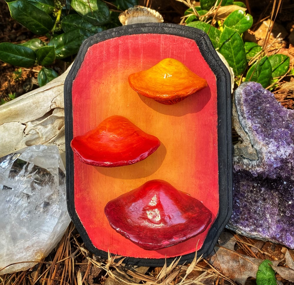 Image of Medium Mushroom Decor ~ Red Gradient Shelf