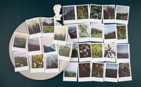 Image 4 of Landscape Nature Stickers Set (120 Pieces) for Art Journaling Scrapbooking Junk Journal Supplies