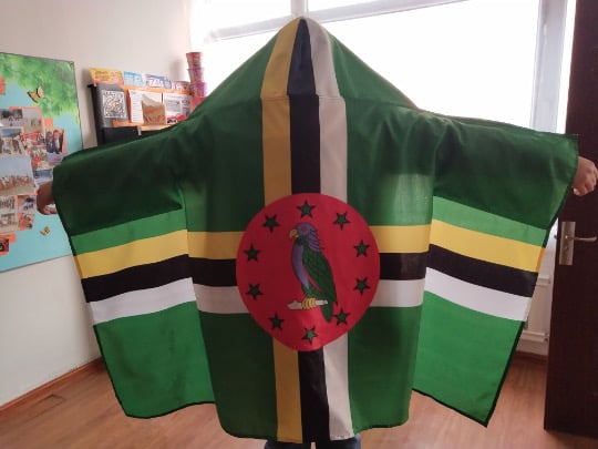 Image of Rep your island Handsfree Flag Hoody Cape (Tell us your country)