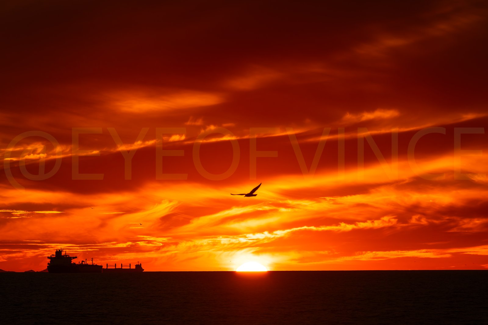 Sunset Postcard set | Eye of Vince