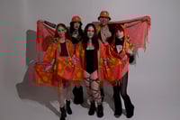Image 5 of Divine Feminine Pashmina