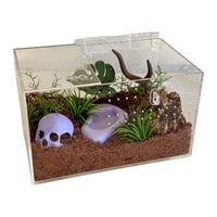 Image 7 of FHOS - Large Hides / Accessories 