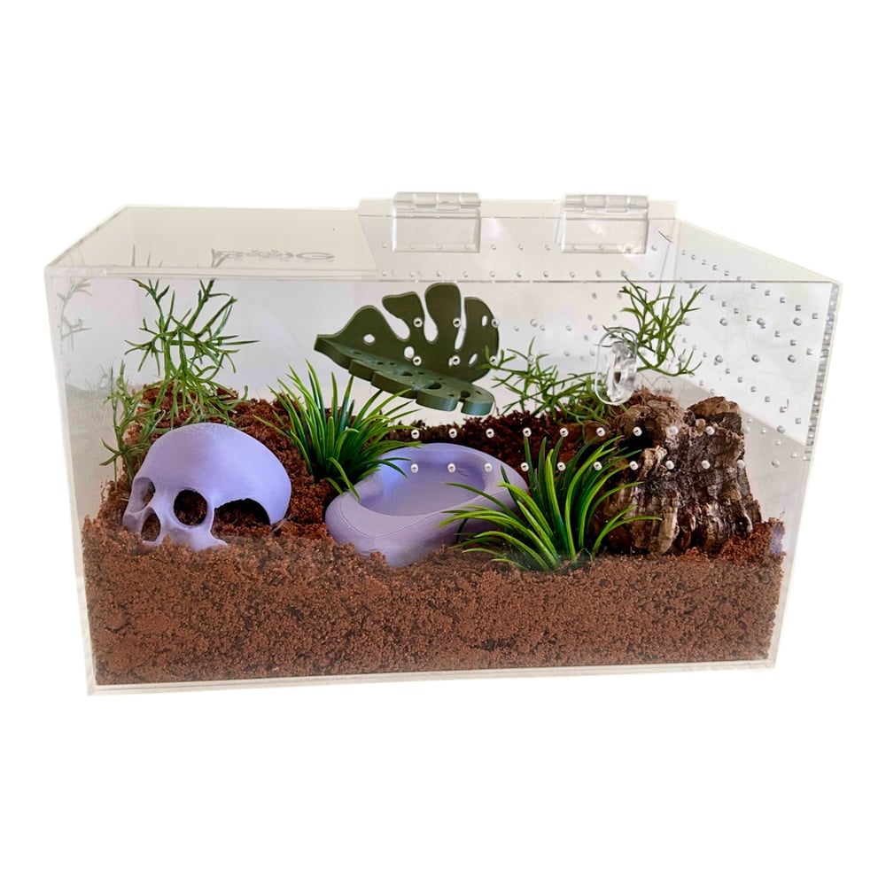 FHOS - Monstera Ledge Set