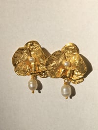 Pearl Orchids