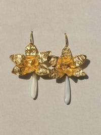 Mother of Pearl Orchid I