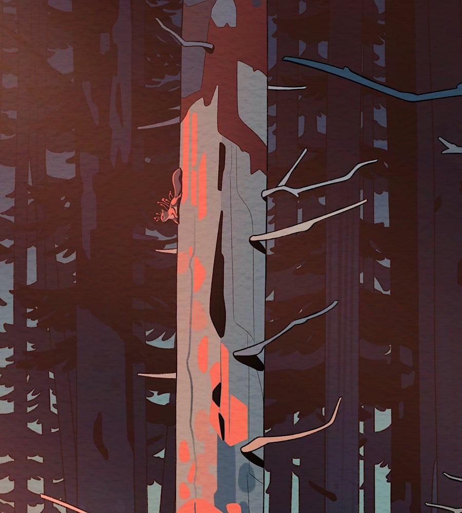 FOREST PRINT