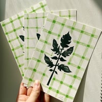 tomato leaf print