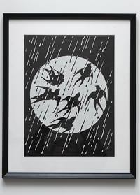 Image 2 of SWALLOWS
