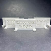Plaque personnalisée nom d'espèce