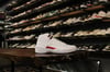 AIR JORDAN XII (12) "TWIST"