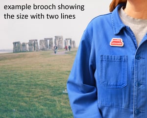 Image of Random Phrase Brooches Group 14