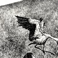 Image 3 of Nest