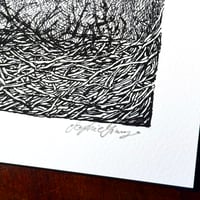 Image 4 of Nest