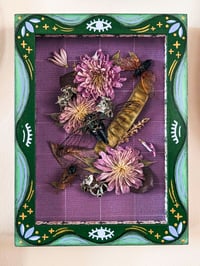 Image 2 of Periodical and Annual Cicadas in Handpainted Folk Shadowbox Frame