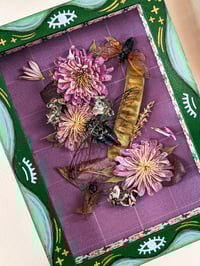 Image 1 of Periodical and Annual Cicadas in Handpainted Folk Shadowbox Frame