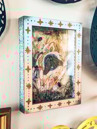 Image 4 of Catalpa Sphinx Moth and Beetles in Handpainted Folk Shadowbox Frame