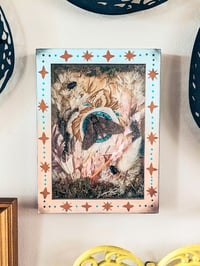 Image 2 of Catalpa Sphinx Moth and Beetles in Handpainted Folk Shadowbox Frame