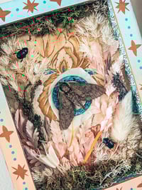 Image 1 of Catalpa Sphinx Moth and Beetles in Handpainted Folk Shadowbox Frame