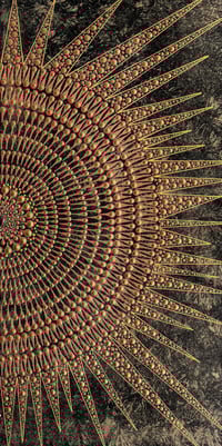 Image 4 of WHOLENESS