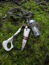 Image 1 of The Scavenger