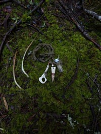 Image 2 of The Scavenger