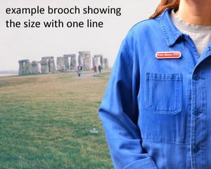 Image of Random Phrase Brooches Group 16