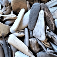 Image 1 of Coastal Wonders  