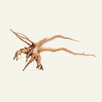 Image 1 of Tidal Horizon 