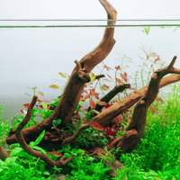 Image 2 of Tidal Horizon 