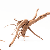 Image 3 of Tidal Horizon 