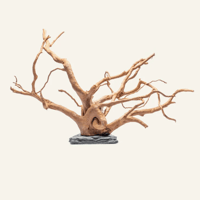 Image 1 of Saltwater Woodworks