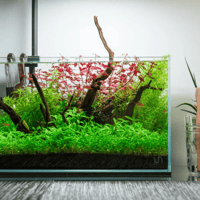 Image 2 of Saltwater Woodworks