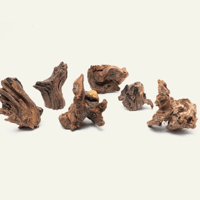 Image 1 of Ocean’s Embrace